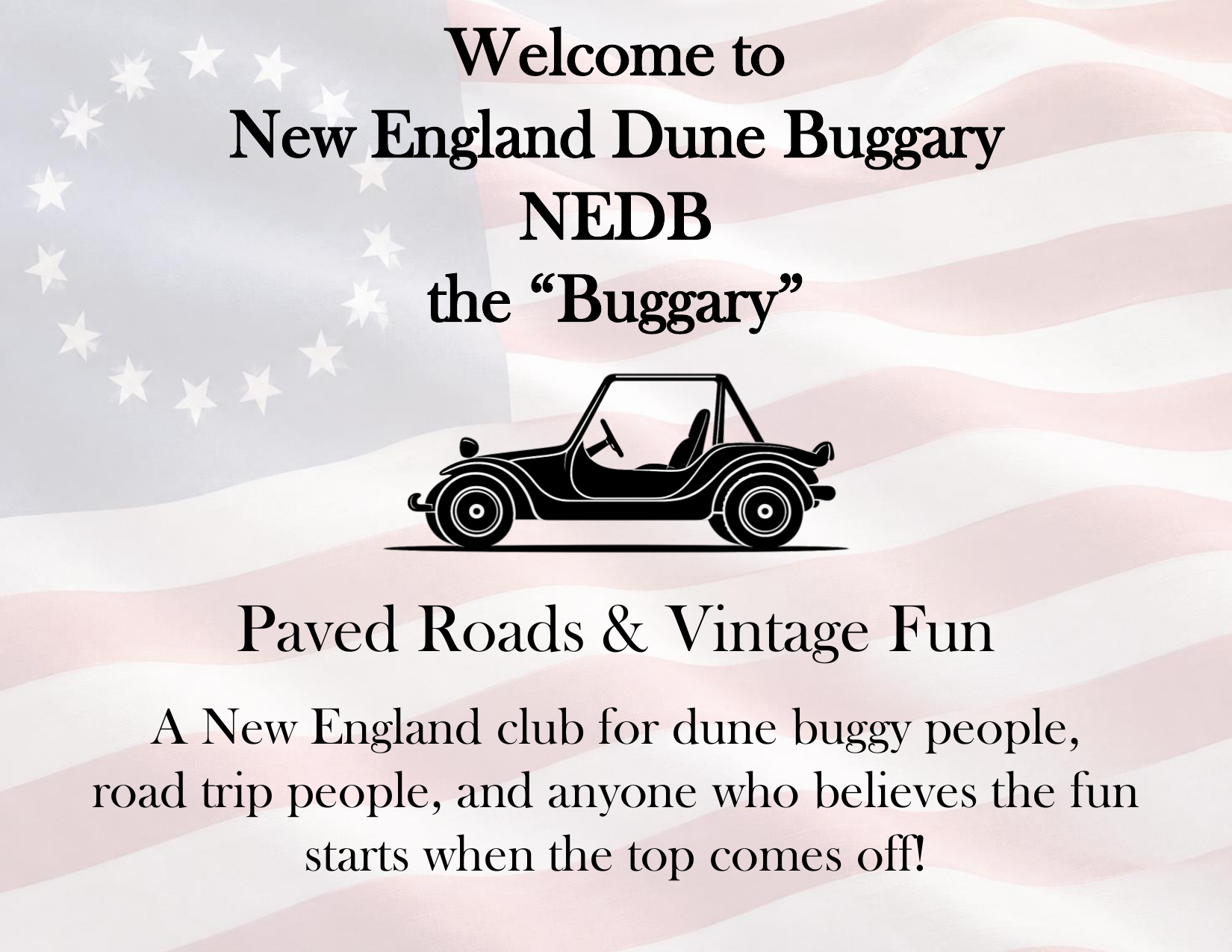 Welcome to New England Dune Buggary
